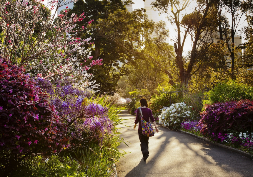 Royal Botanic Garden Sydney Opening Hours