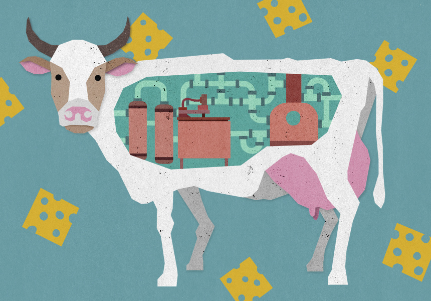 Illustration: Celeste Potter
