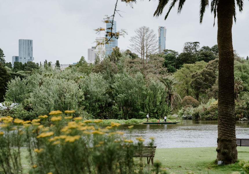 A Burgeoning Hospo Group Reopens the Iconic Terrace Cafe at Melbourne’s Royal Botanic Gardens