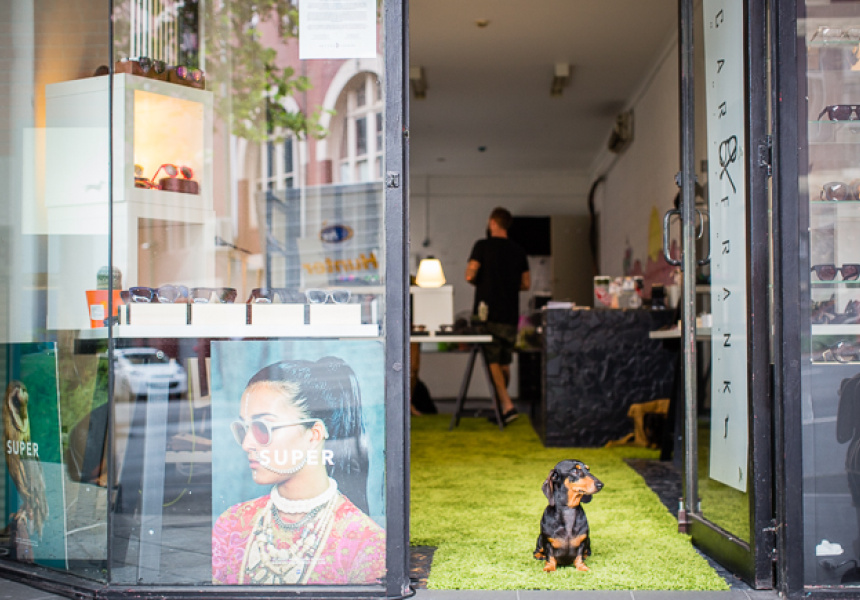 Specs Appeal Oscar & Frank