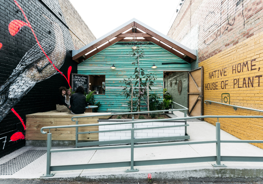 Now Open Native Home, House of Plants