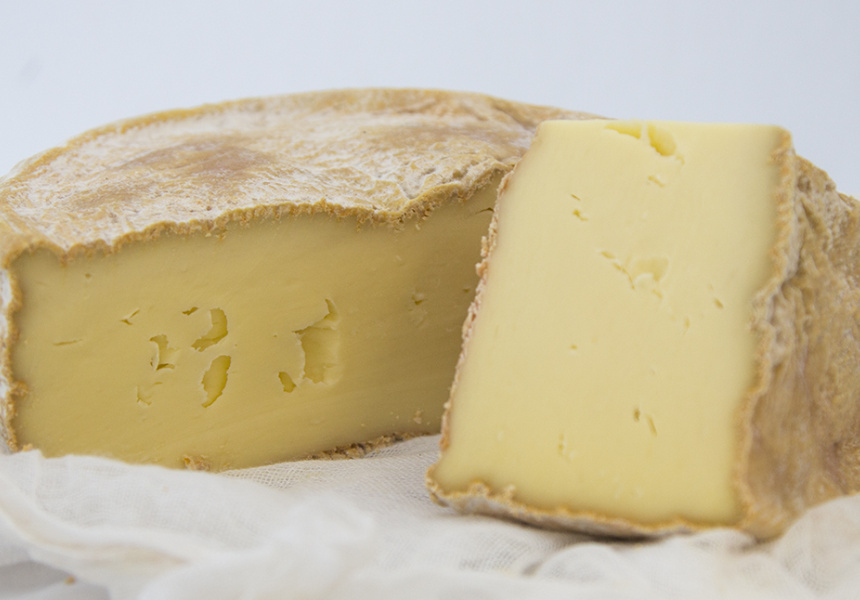 Australian Specialist Cheese Show