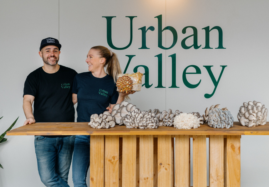 Step Inside Urban Valley, the Mushroom Farm Right in the Heart of Fortitude Valley