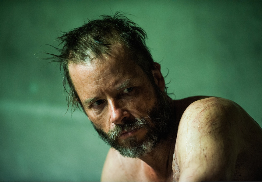 The Rover (2014)
