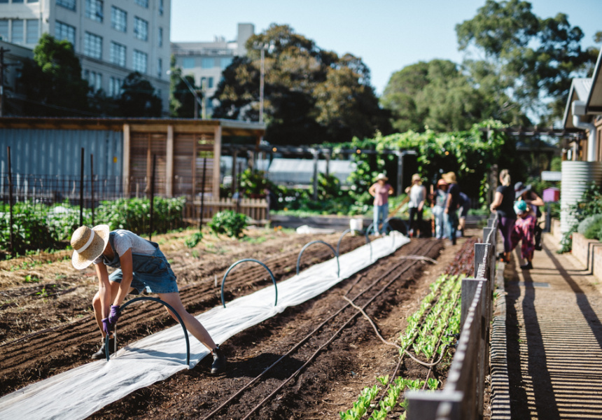 Five Places to Get Greening in Sydney