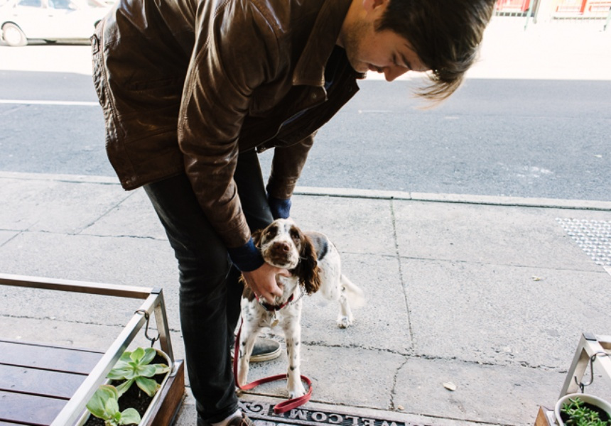 You can book someone to walk your dog while you’re at work with Pawshake.
