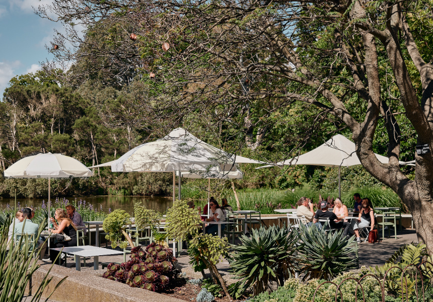 A Burgeoning Hospo Group Reopens the Iconic Terrace Cafe at Melbourne’s Royal Botanic Gardens