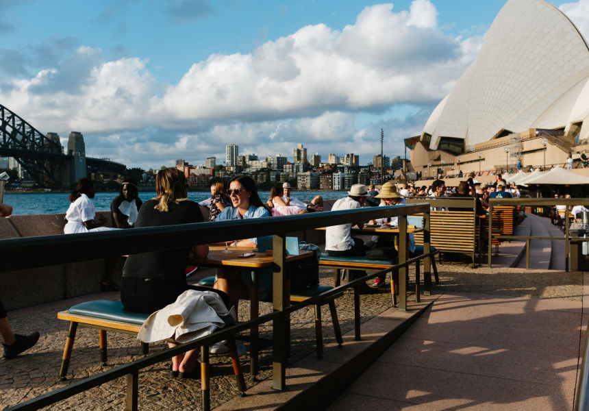 Picnic Social at the Opera Bar