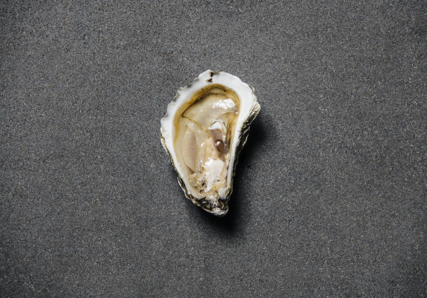 悉尼岩石牡蛎