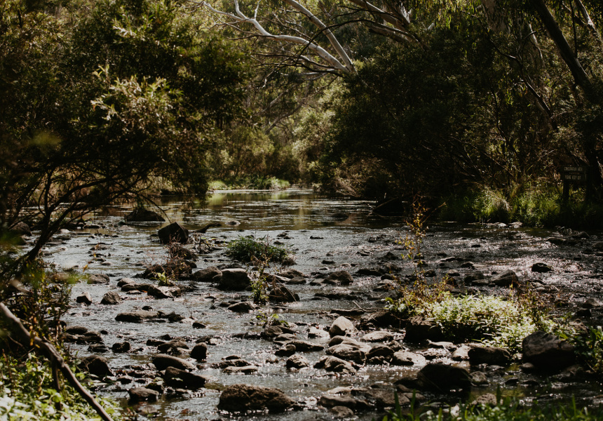 Organ Pipes National Park
