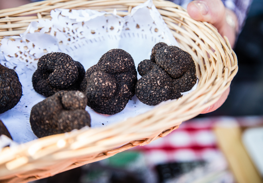 Truffle Melbourne PopUp