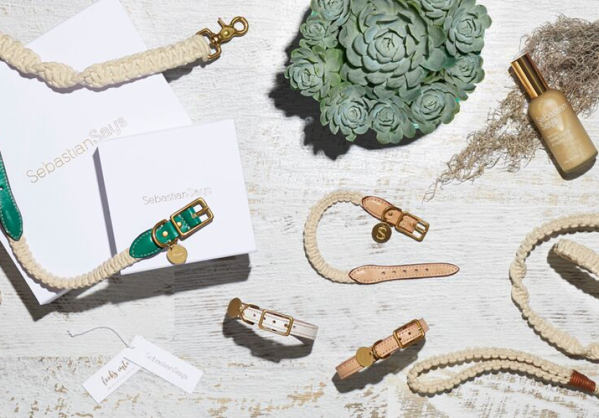 Stylish Pooch Accessories, Made in Melbourne