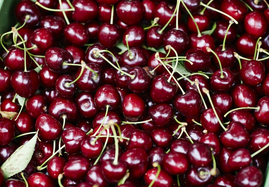 Pick Your Own Cherries Along the Cherry Trail