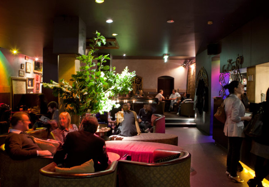 Ginematography at Gin Palace