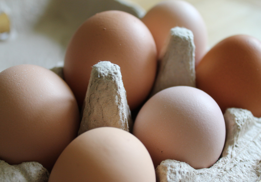 Nationwide Egg Recall Following Salmonella Fears Broadsheet