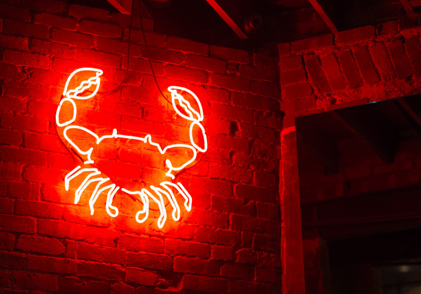 The Rochey Claws its Way Back