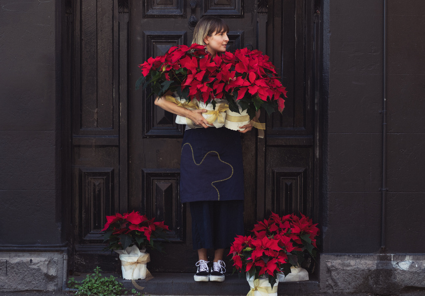 PopUp Christmas Plant Sale by Vasette