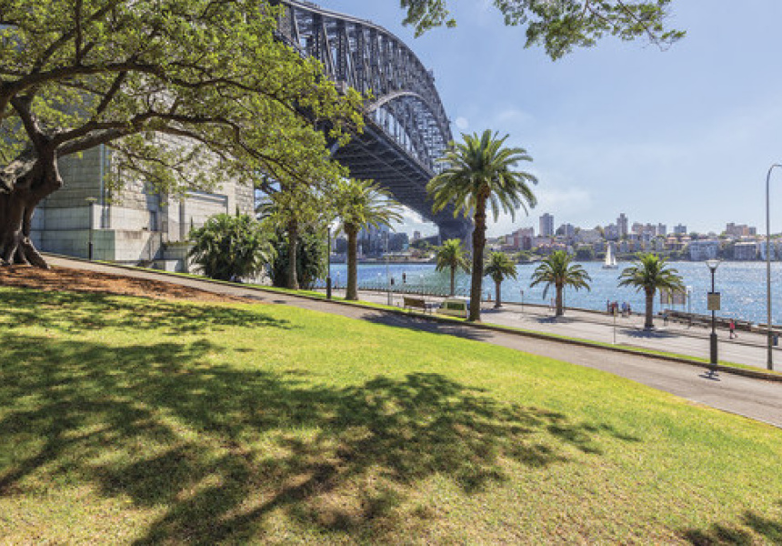 Harbour Social at The Rocks