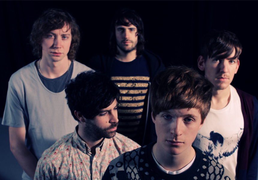 Foals