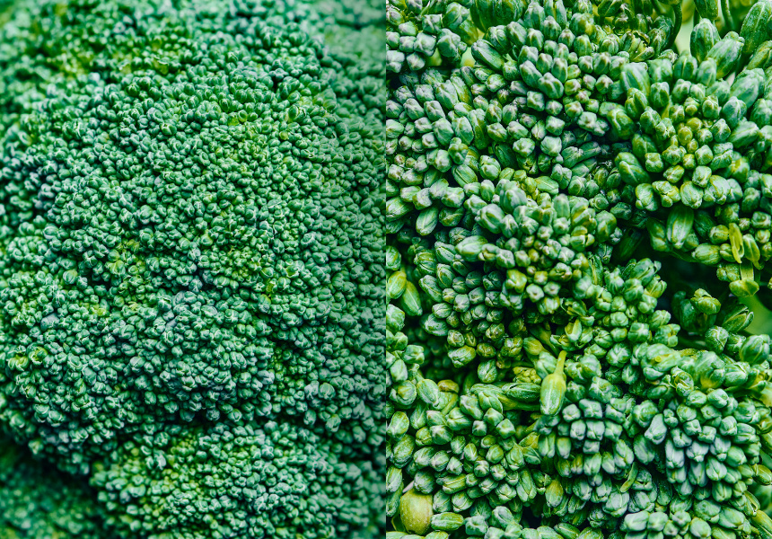Broccoli Versus Broccolini