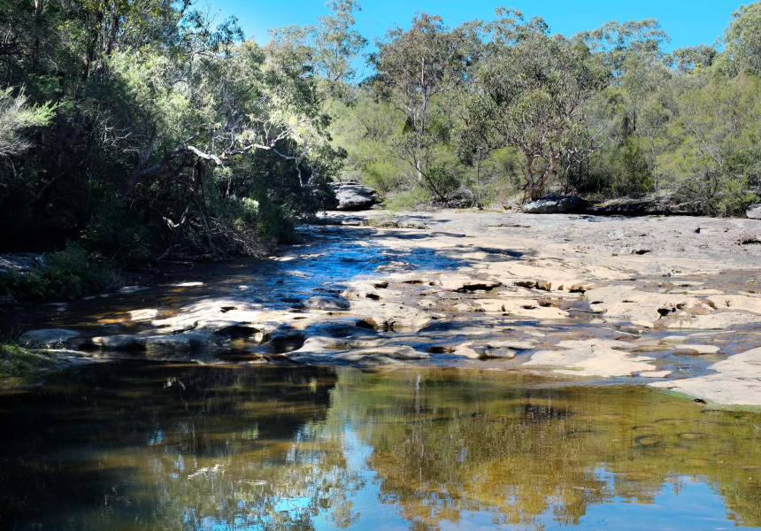 A Walk to Rock Pools in The Cascades, Garigal National Park