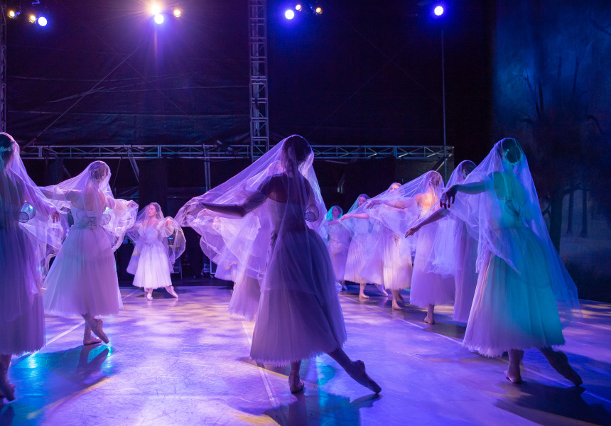 Artists of The Australian Ballet
