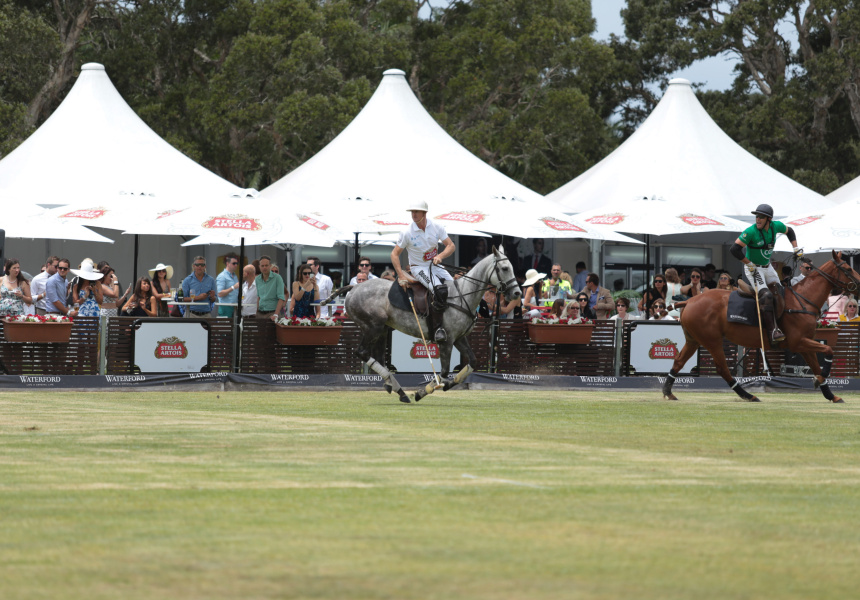 The Polo: A Day Out In the City