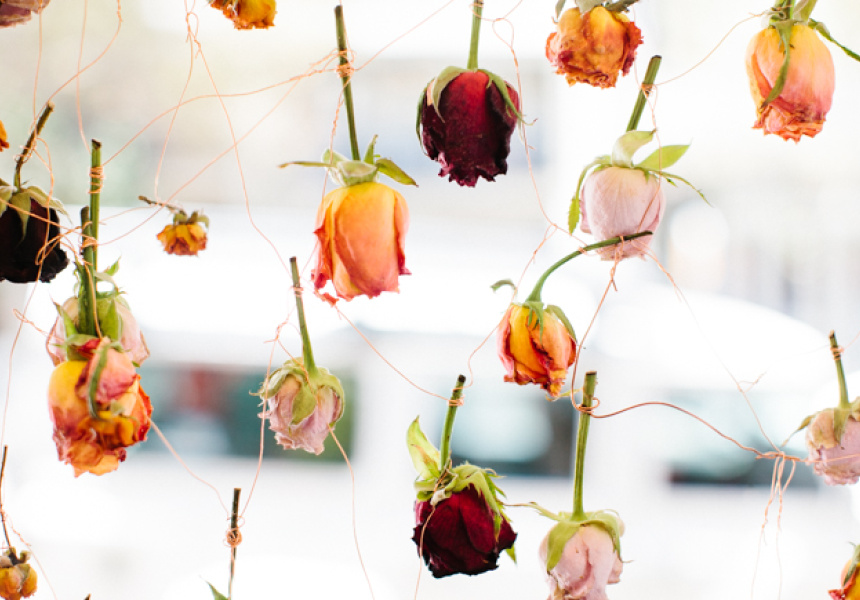 A RoseColoured Window at Hermetica Flowers
