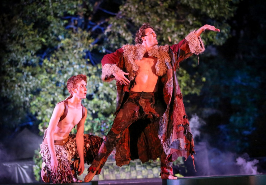 Shakespeare Under the Stars: A Midsummer Night's Dream