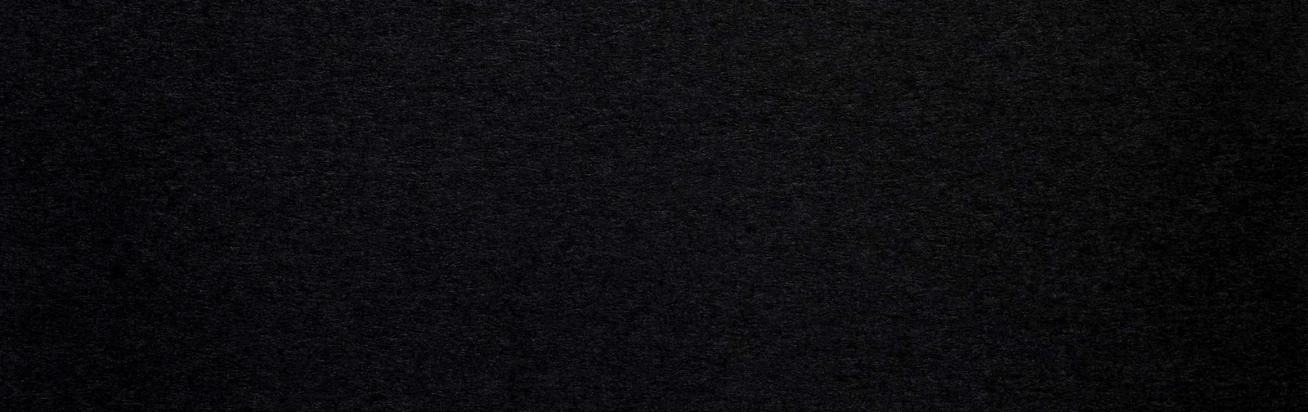 Black Friday and Cyber Monday Sales