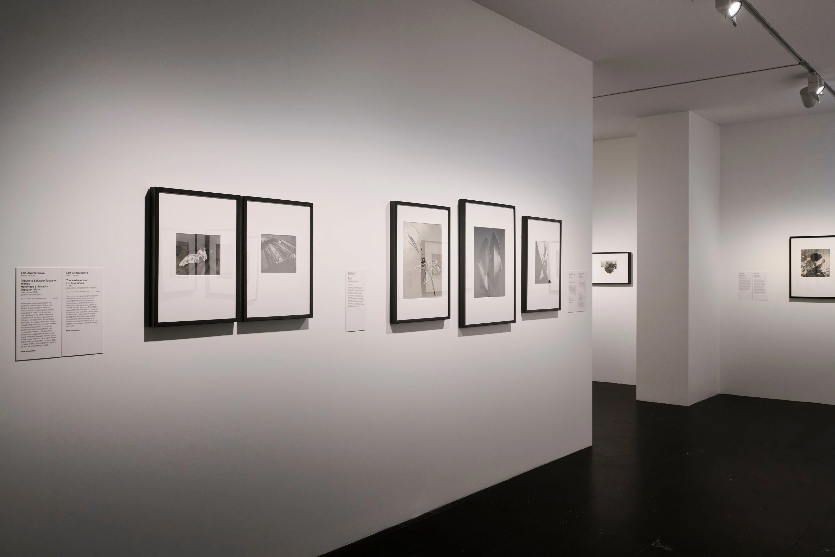 A Legacy of Light: Women Photographers Shine at the NGV | Broadsheet