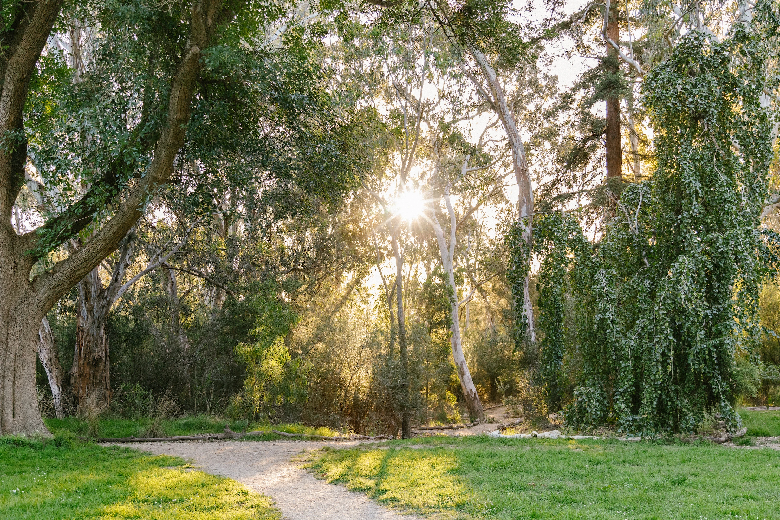 How To Spend the Day In and Around Heide Museum of Modern Art