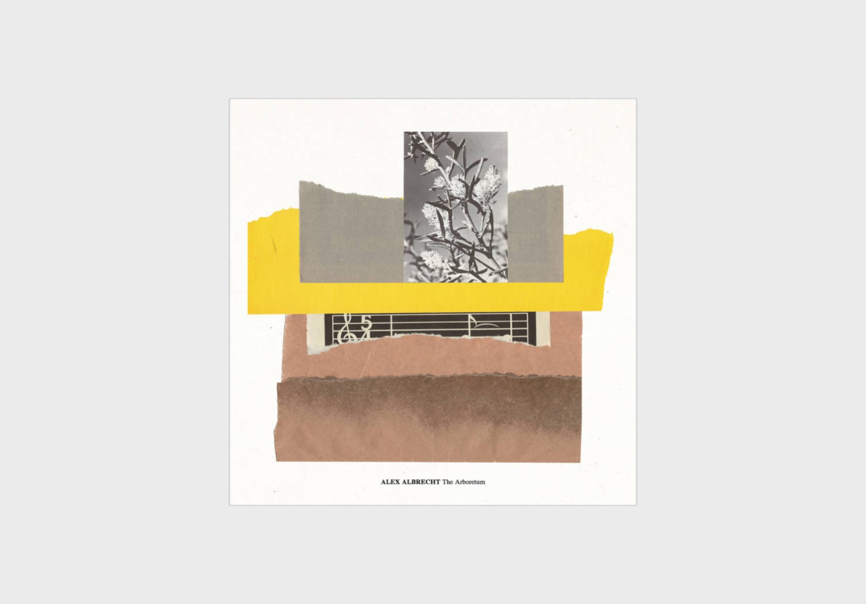 Alex Albrecht – The Arboretum