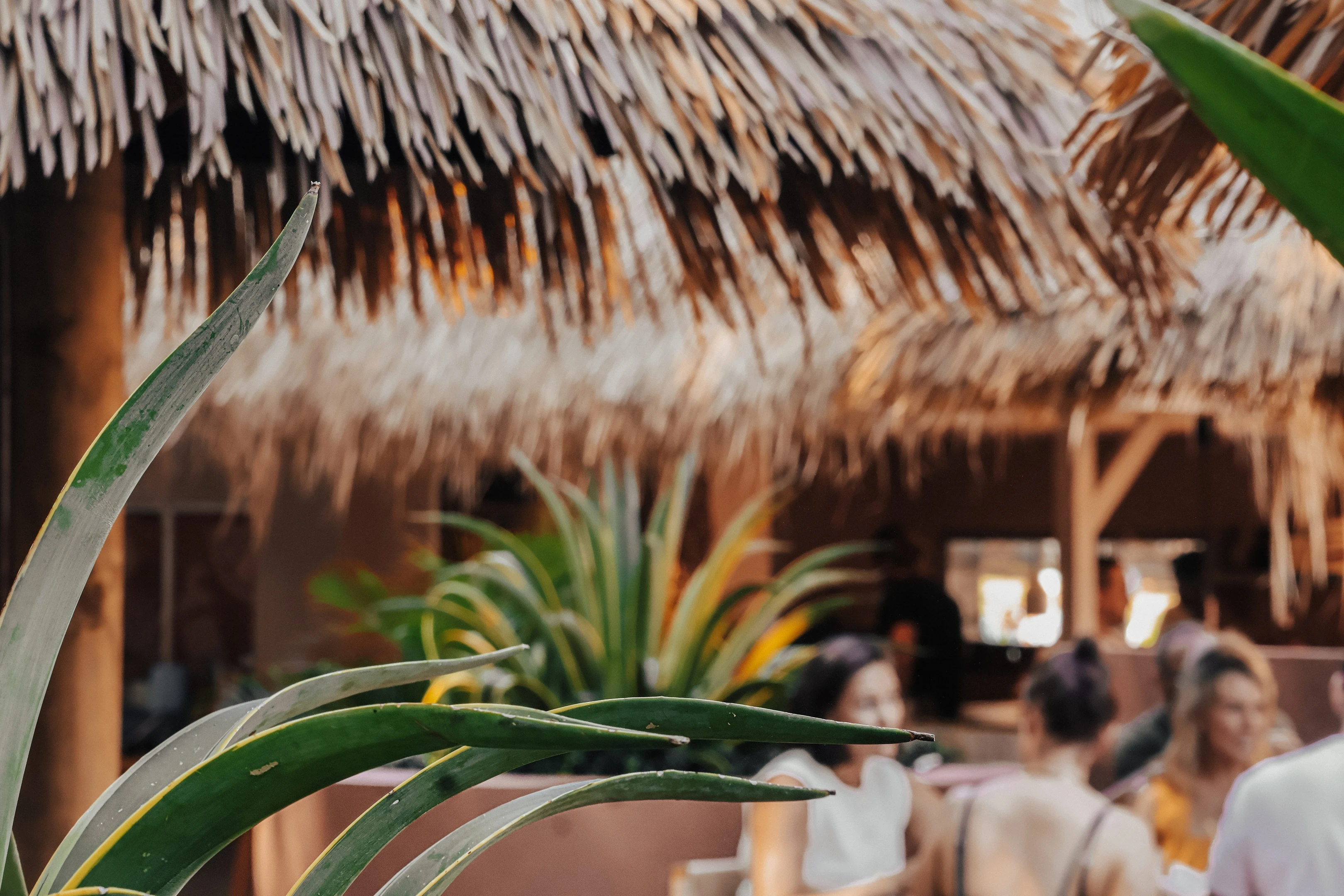 Waterside Margaritas and Sinaloa-Style Prawn Tacos Are Waiting Just 20 Minutes From the CBD