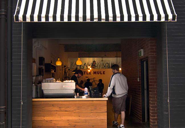 JC at Little Mule