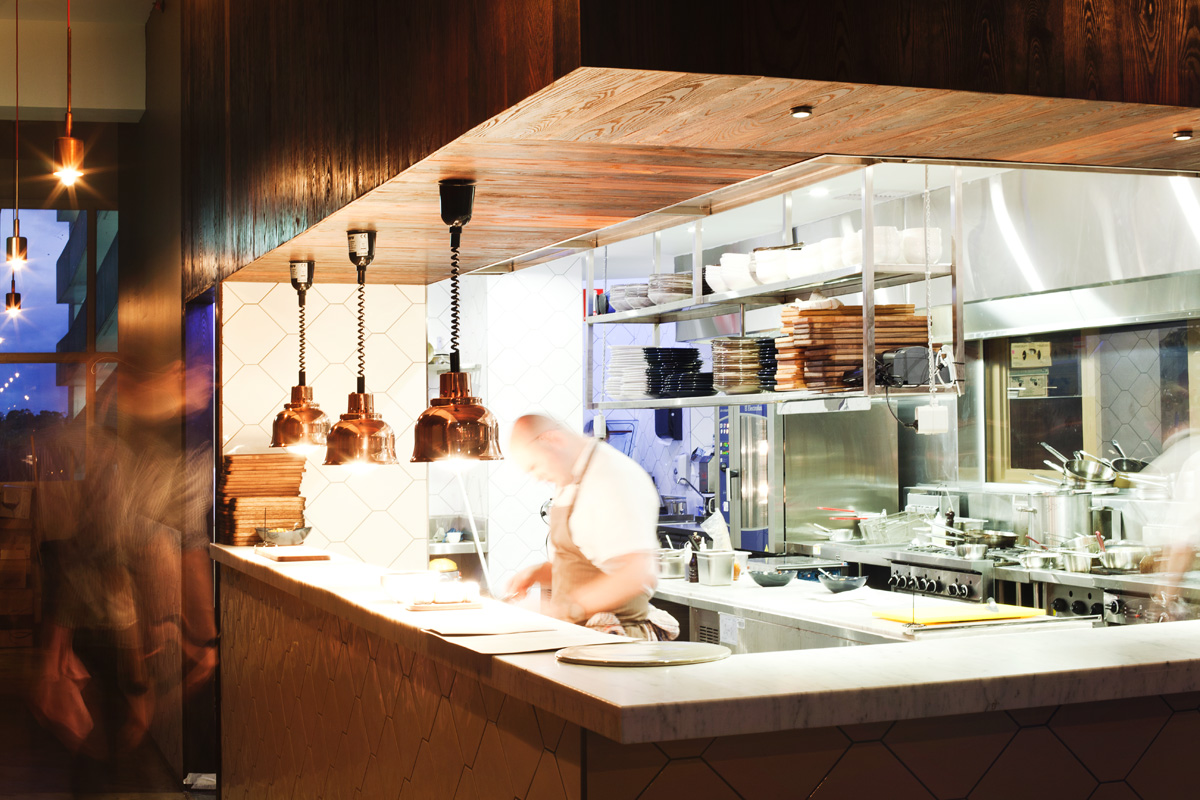 Virginia Plain Opens