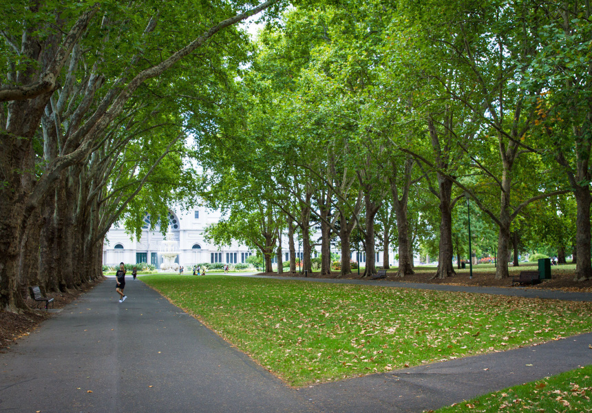 Melbourne Pollen Forecast Helps You Decide if You’re Going Outside (or Not)