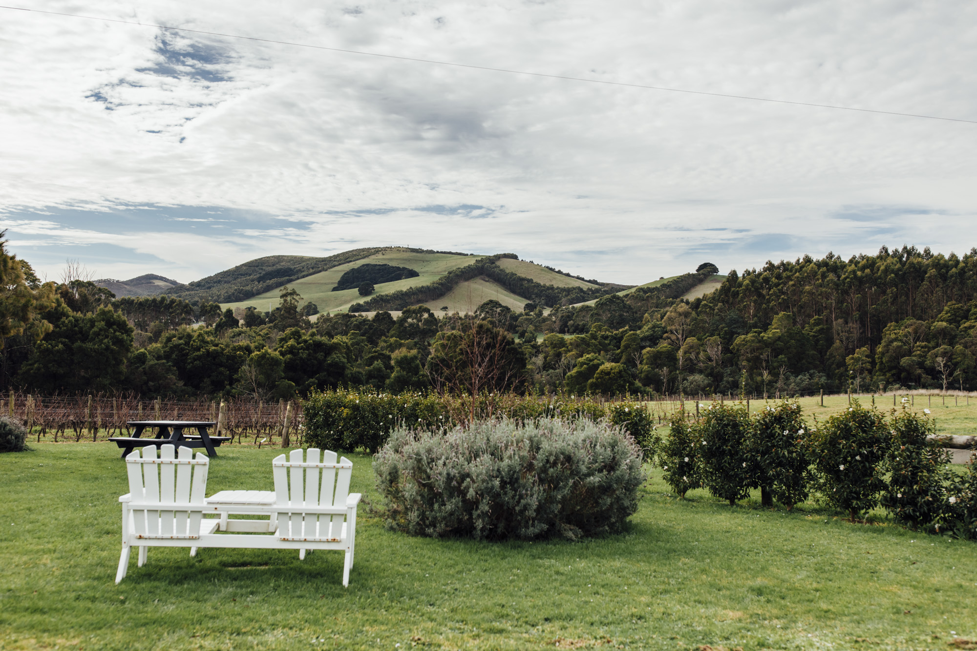 gippsland-road-trips