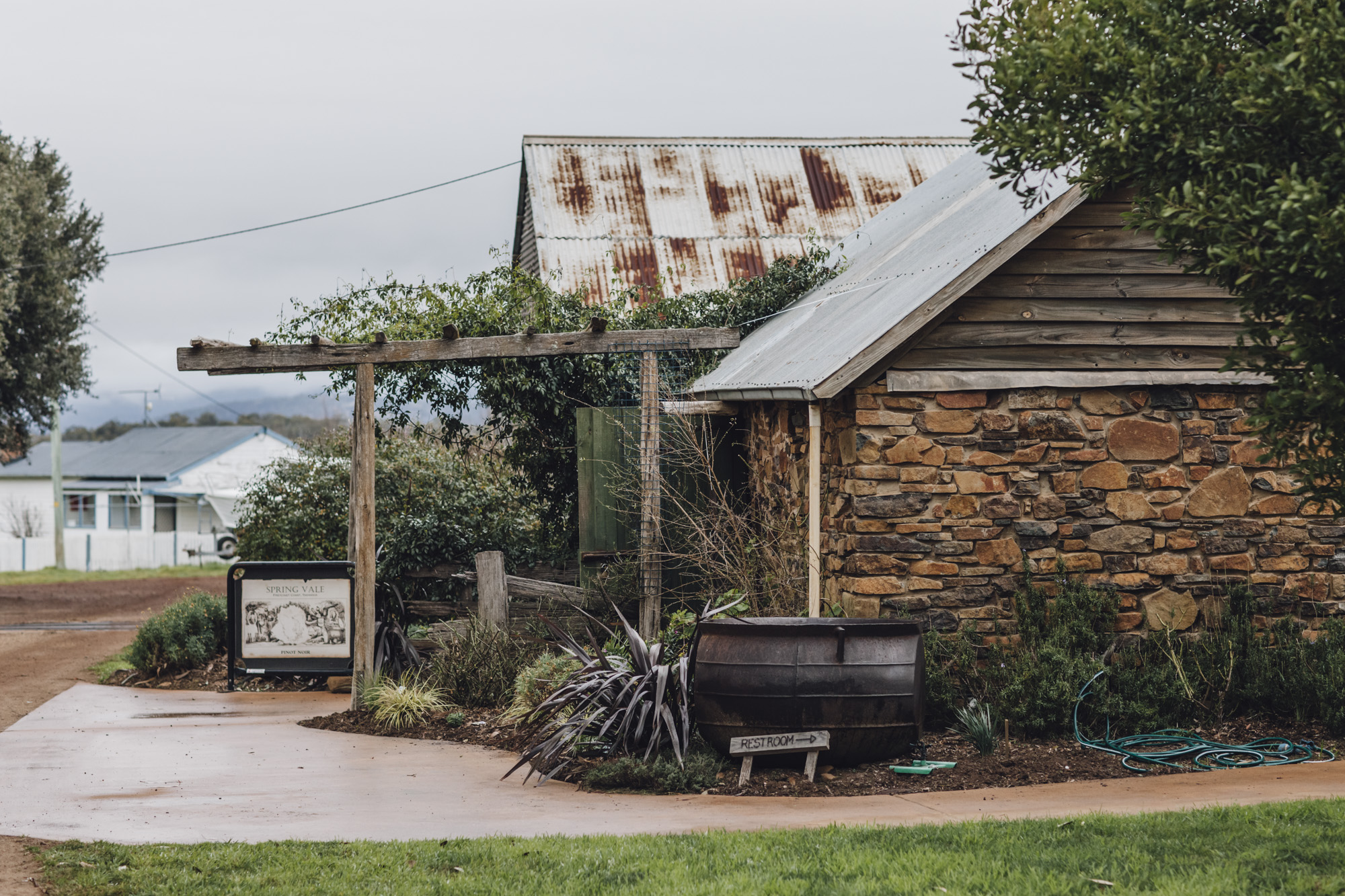 The Sheep Farmer Making Pinot Noir with an Edge