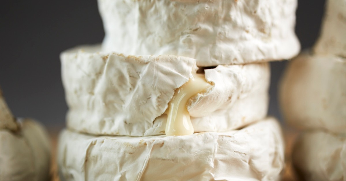 Mould Cheese Festival Heads to Sydney For the First Time