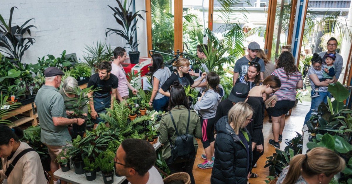 An Indoor Plant Pop Up Sale Is Coming To Adelaide