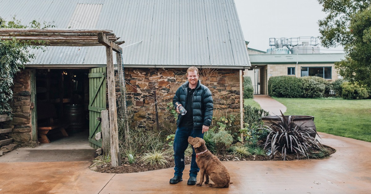 The Sheep Farmer Making Pinot Noir with an Edge