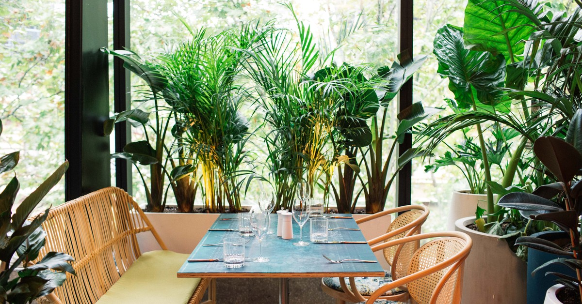 First Look Green Moustache, North Sydney’s First Rooftop Garden