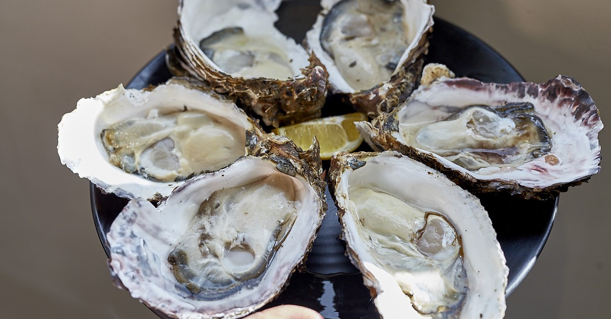 $1 Oysters at Fratelli Fresh