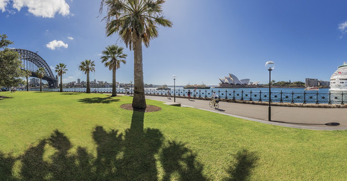 Harbour Social at The Rocks