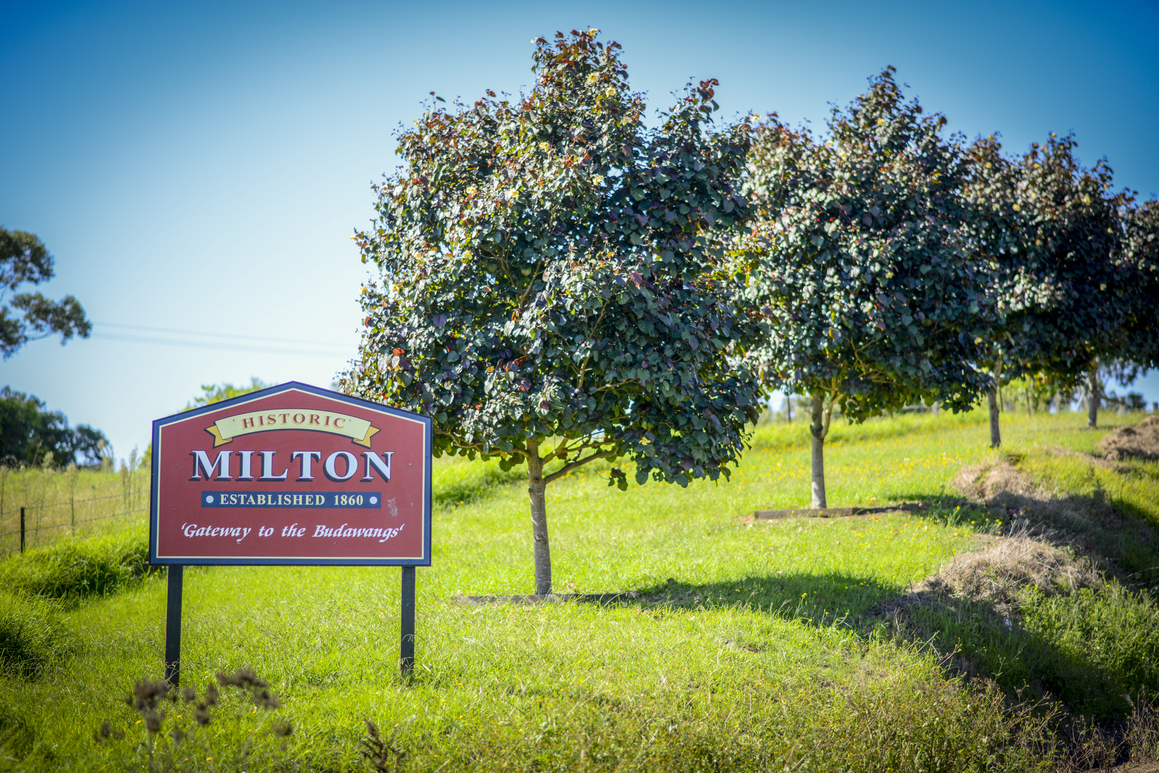 milton wine tour