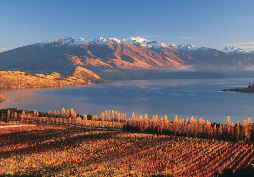 Rippon Vineyard, Lake Wanaka