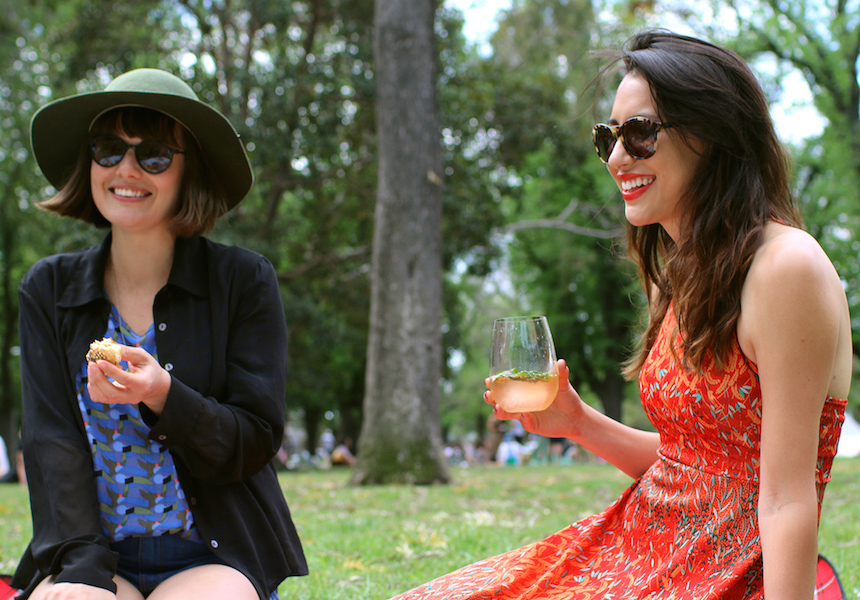 FYI, You Can’t Drink Booze At Your Picnics This Weekend Here Are 38