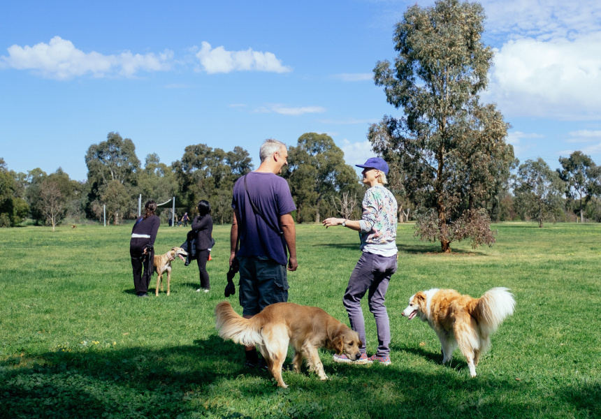 Let the Dogs Out Eight New OffLeash Parks Are Planned for Melbourne