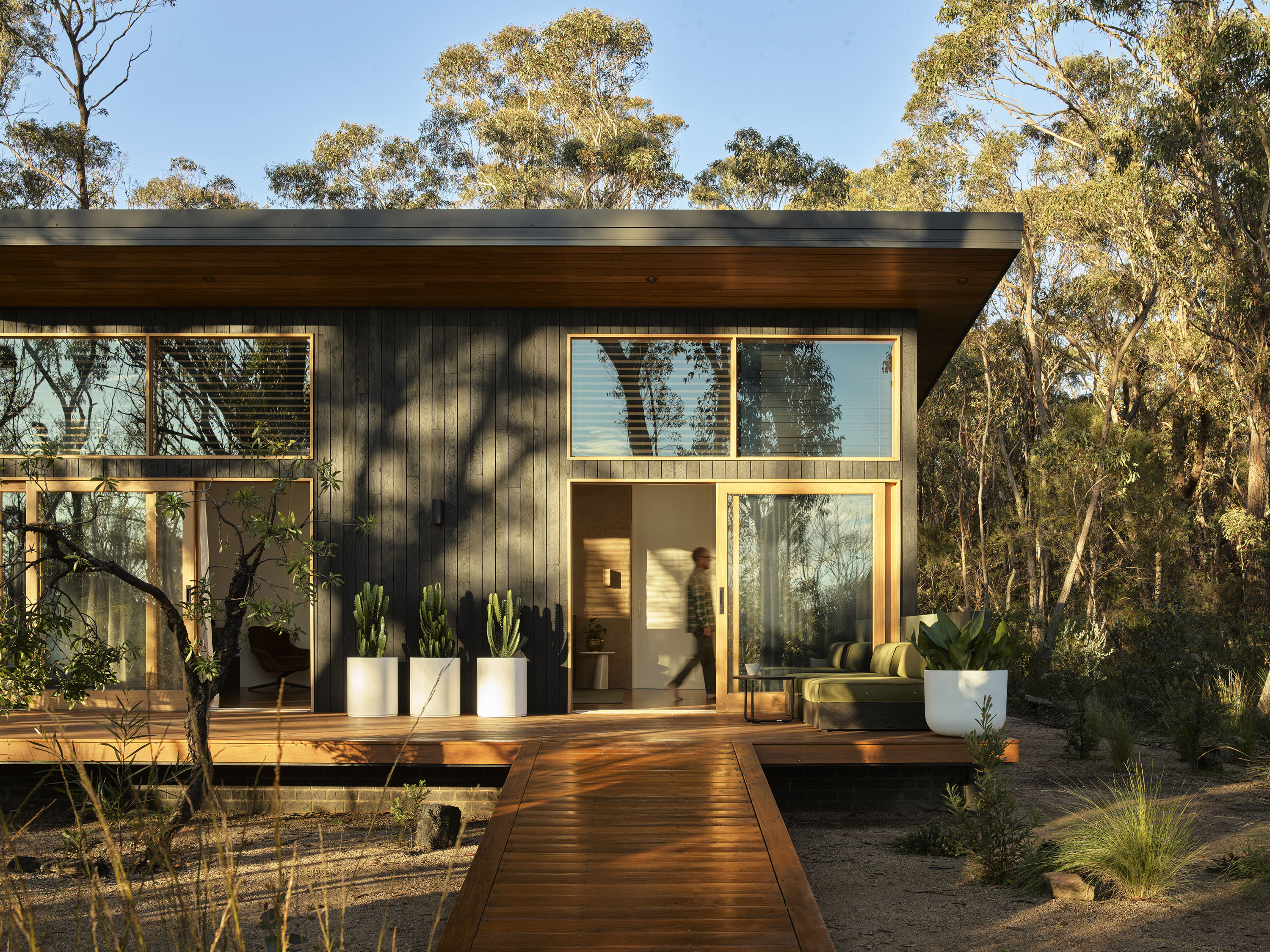 Wake Up Surrounded by Tranquil Blue Mountains Bushland at the Deluxe ...